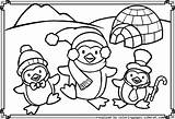 Coloring Pages Of Penguins sketch template