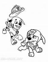 Zuma Paw Patrol Coloring Book Page  Home sketch template