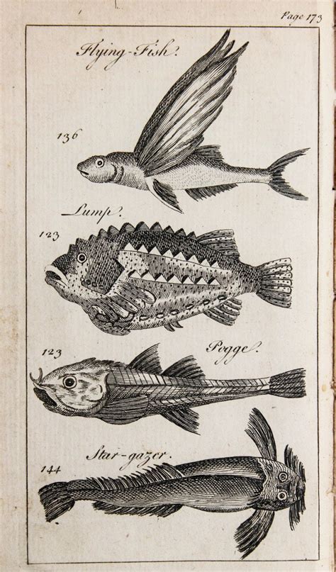 Richard Brookes | The Natural History of Fishes and Serpents, Including ...