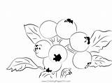 Spring High Coloring Page For Kids  Free Blueberry Printable sketch template