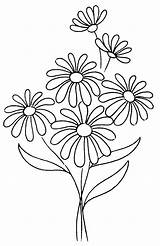 Dibujos De Margarita Para Colorear E Imprimir– ColoringOnlyCom sketch template