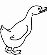 Gans Ganso Kleurplaat Geese Ausmalbild Kleurplaten Malvorlage  sketch template