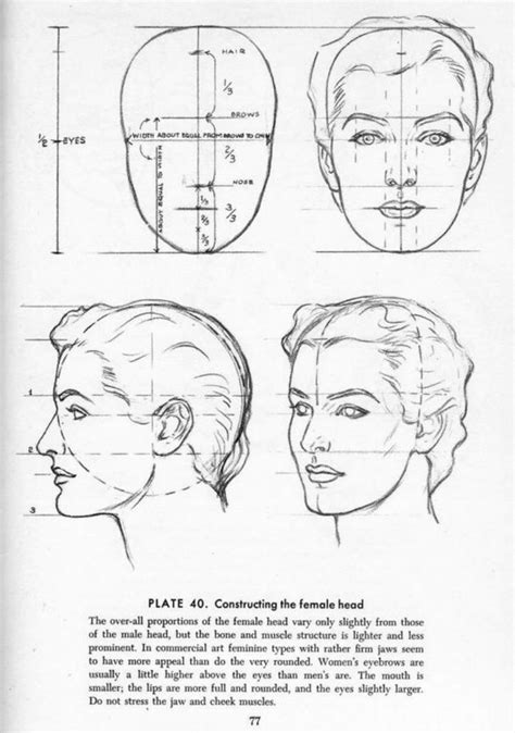 Drawing The Head And Hands - Andrew Loomis Drawing The Human Head ...