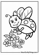 Cute Ladybug Coloring Pages For Kids sketch template