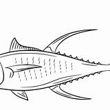 Tuna Coloring Pages Printable For Free Download sketch template