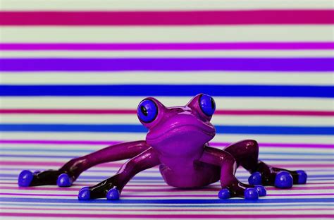 Purple frog purple tree frog - koolquik