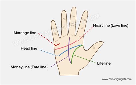 Palm Reading Guide: How to Read Your Palm Lines with Chart - 必威app精,必威 ...