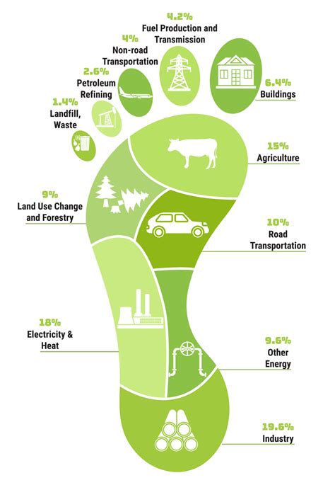 Carbon Footprint: Understanding Greenhouse Gases