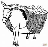Donkey With Pannier coloring Page  Free Printable Coloring Pages sketch template