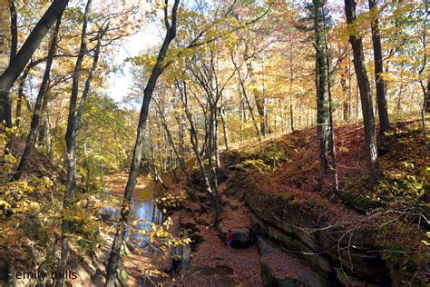 Devil's Lake Fall Colors in Wisconsin 2024 - Rove.me