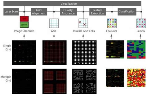 DNA Microarray data processing