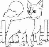 boston terrier Perro Página Para Colorear Niños 7819176 Vector En  sketch template