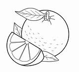 Oranges Coloring Pages sketch template