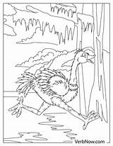 Free OSTRICH Coloring Pages For Download Printable PDF sketch template