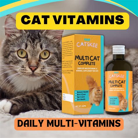 Catskee Cat Vitamins for Immune System, Appetite Booster, Weight Hair ...