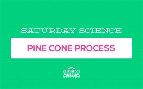Saturday Science: The Pinecone Process | Homeschool science lessons, Science, At home science ...