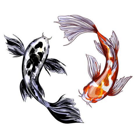 koi fish art illustration - Horace Lenske