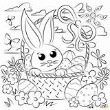 Easter Bunny In Basket Coloring Page Pages sketch template