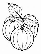 Premium Vector  Gooseberry fruit coloring Book Pages For Children And sketch template
