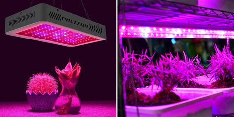 How to Clean Led Grow Lights - 6 Effective Steps (2024)