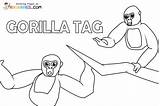 Gorilla Tag Coloring Pages sketch template