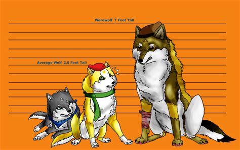 Height Rate - Wolf + Werewolf by Rindiny on DeviantArt