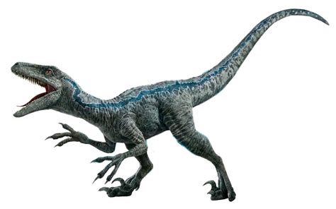 Jurassic world dominion Raptor blue render png by Junior3DSYMas on DeviantArt