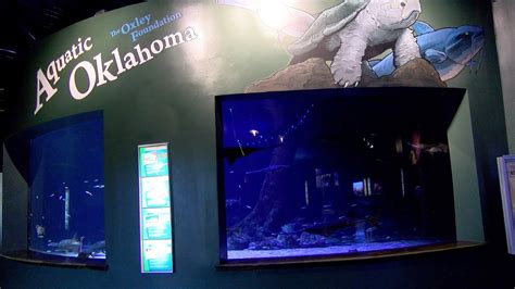 The Esteem Production Blog: Latest Shoot: Oklahoma Aquarium