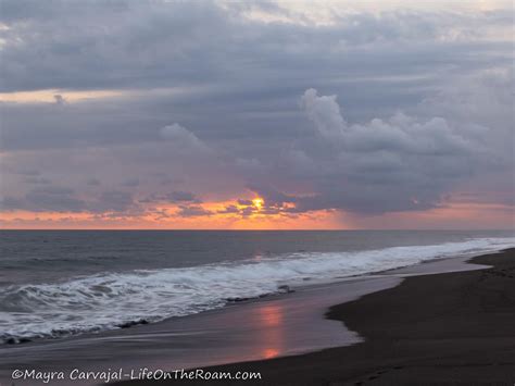 How to Spend 2 Days in the Beach Town of Monterrico, Guatemala