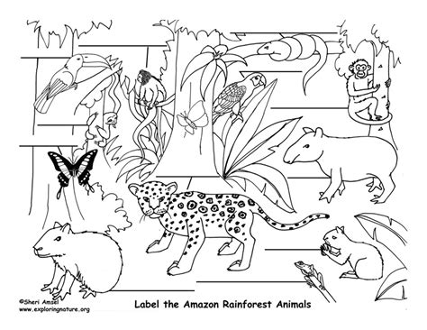 Jungle Animal Silhouette at GetDrawings | Free download