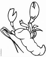 Online coloring Pages Coloring Page Lobster Download Print  sketch template