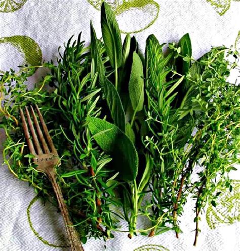 The Health Benefits and Uses of Organic Herbs