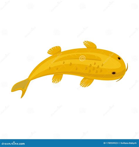 Carp Vector Icon.Cartoon Vector Icon Isolated on White Background Carp. Stock Vector ...