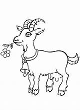 Goat Webstockreview Sketch Coloring Page sketch template