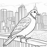 Pigeon Coloring Pages  Free & Printable sketch template