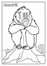 Monkey Coloring Pages Free Printable PDFs  WakeTheKids sketch template