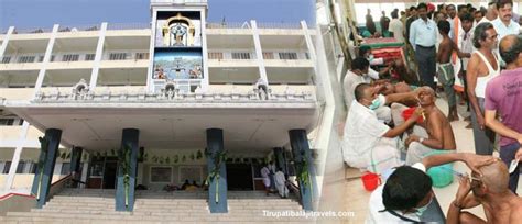 Tirumala Venkateswara Temple Hair