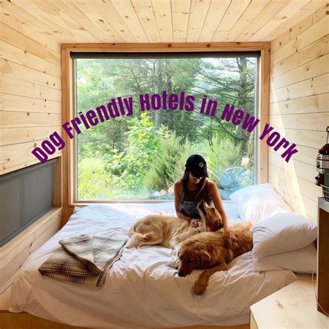 Pet Friendly Hotels in New York | Eco Travel