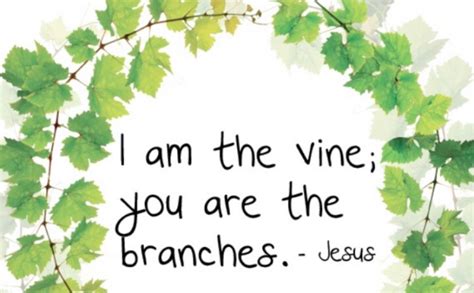 Vine – BibleJournal.net