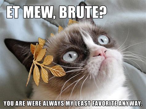 Grumpy Cat Ides Of March | Grumpy Cat | Know Your Meme