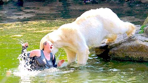 Polar Bear Attack Zoo