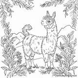 Peru Coloring Pages  Free & Printable sketch template