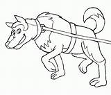 Dibujos de razas Perros Para Pintar PerrosAmigoscom sketch template
