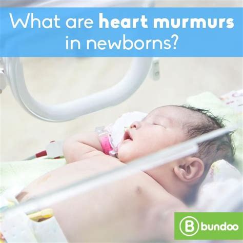 What are heart murmurs in newborns? | Heart murmur, Newborn care, Newborn