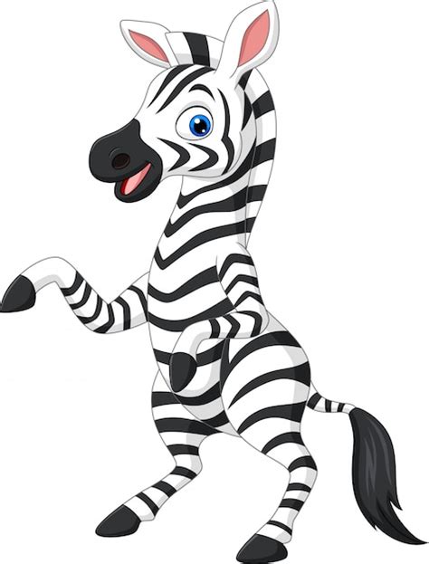 Premium Vector | Cartoon funny zebra on white background