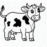Free Drawing Of Cow coloring Page  Download Print Or Color Online For sketch template