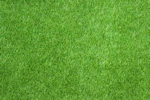 Grass Texture Stock Photos, Images and Backgrounds for Free Download