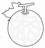 Melons coloring Pages  Free Coloring sketch template