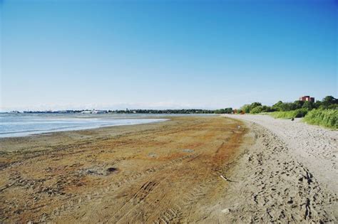 Estonian beach on the Baltic. The water was freezing. | Country roads, Beach, Baltic sea