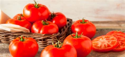 Tomato Nutrition, Benefits, Uses, Recipes, Side Effects - Dr. Axe